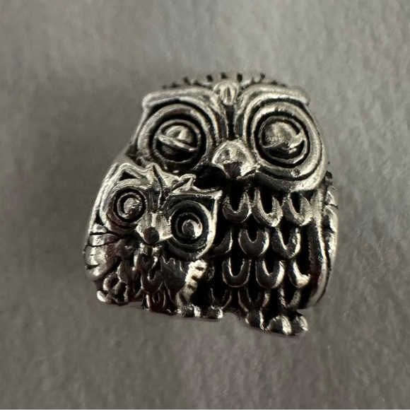 Pandora: Owl Mother & Baby Charm - Picture 12 of 14